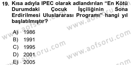 Sosyal Sorunlar Dersi 2015 - 2016 Yılı (Final) Dönem Sonu Sınav Soruları 19. Soru