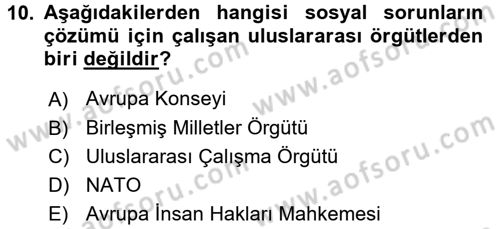 Sosyal Sorunlar Dersi 2016 - 2017 Yılı (Vize) Ara Sınav Soruları 10. Soru