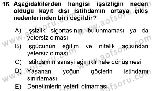 Sosyal Sorunlar Dersi 2016 - 2017 Yılı (Vize) Ara Sınav Soruları 16. Soru