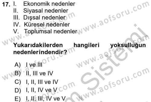 Sosyal Sorunlar Dersi 2016 - 2017 Yılı (Vize) Ara Sınav Soruları 17. Soru