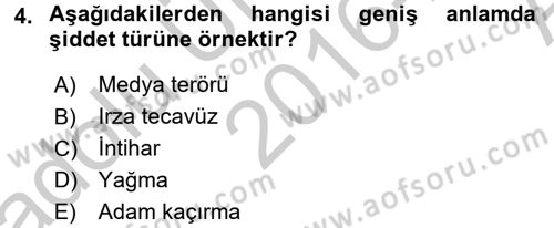 Sosyal Sorunlar Dersi 2016 - 2017 Yılı (Vize) Ara Sınav Soruları 4. Soru