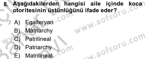 Sosyal Sorunlar Dersi 2016 - 2017 Yılı (Vize) Ara Sınav Soruları 8. Soru