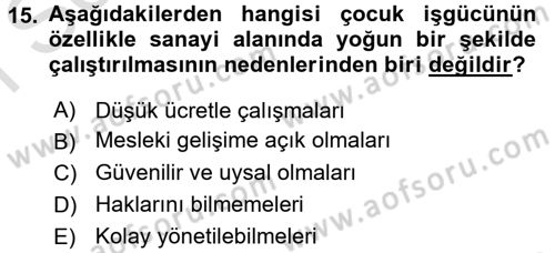 Sosyal Sorunlar Dersi 2016 - 2017 Yılı (Final) Dönem Sonu Sınav Soruları 15. Soru