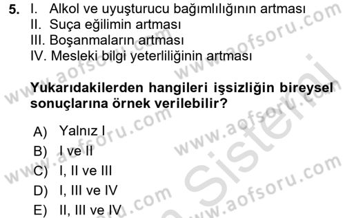 Sosyal Sorunlar Dersi 2016 - 2017 Yılı (Final) Dönem Sonu Sınav Soruları 5. Soru