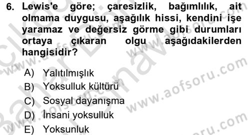 Sosyal Sorunlar Dersi 2016 - 2017 Yılı (Final) Dönem Sonu Sınav Soruları 6. Soru