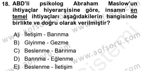 Sosyal Sorunlar Dersi 2017 - 2018 Yılı (Final) Dönem Sonu Sınav Soruları 18. Soru