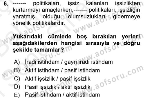 Sosyal Sorunlar Dersi 2017 - 2018 Yılı (Final) Dönem Sonu Sınav Soruları 6. Soru