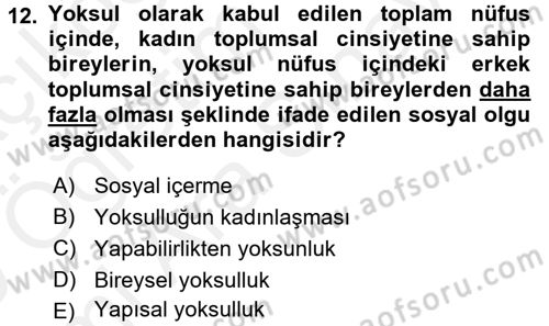 Sosyal Sorunlar Dersi 2018 - 2019 Yılı (Vize) Ara Sınav Soruları 12. Soru