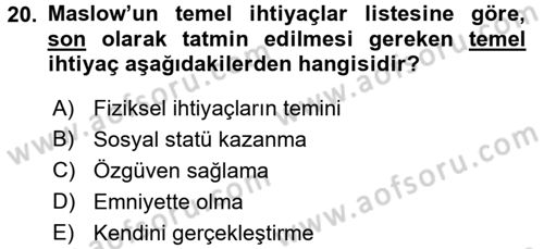 Sosyal Sorunlar Dersi 2018 - 2019 Yılı (Vize) Ara Sınav Soruları 20. Soru