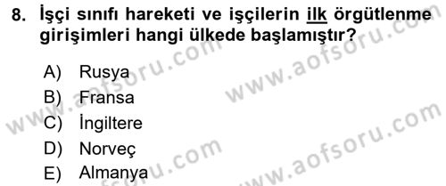 Sosyal Sorunlar Dersi 2018 - 2019 Yılı (Vize) Ara Sınav Soruları 8. Soru