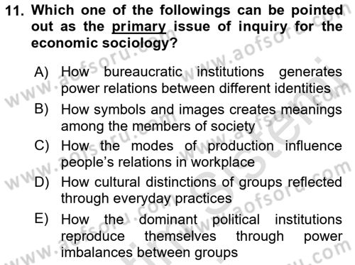 Introduction to Sociology Dersi 2017 - 2018 Yılı (Vize) Ara Sınavı 11. Soru