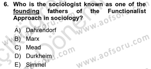 Introduction to Sociology Dersi 2017 - 2018 Yılı (Vize) Ara Sınavı 6. Soru