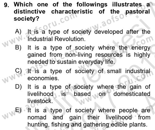 Introduction to Sociology Dersi 2017 - 2018 Yılı (Vize) Ara Sınavı 9. Soru