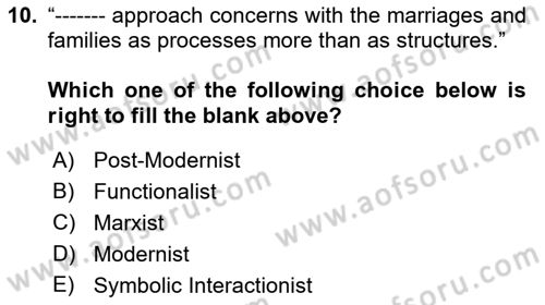 Introduction to Sociology Dersi 2017 - 2018 Yılı (Final) Dönem Sonu Sınav Soruları 10. Soru