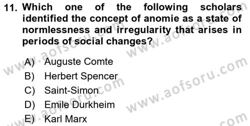 Introduction to Sociology Dersi 2017 - 2018 Yılı (Final) Dönem Sonu Sınav Soruları 11. Soru