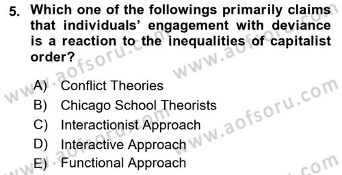 Introduction to Sociology Dersi 2017 - 2018 Yılı (Final) Dönem Sonu Sınav Soruları 5. Soru