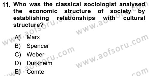 Introduction to Sociology Dersi 2018 - 2019 Yılı (Vize) Ara Sınav Soruları 11. Soru