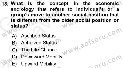 Introduction to Sociology Dersi 2018 - 2019 Yılı (Vize) Ara Sınav Soruları 18. Soru