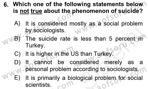 Introduction to Sociology Dersi 2018 - 2019 Yılı (Vize) Ara Sınav Soruları 6. Soru