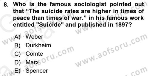 Introduction to Sociology Dersi 2018 - 2019 Yılı (Vize) Ara Sınav Soruları 8. Soru