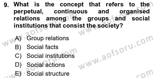 Introduction to Sociology Dersi 2018 - 2019 Yılı (Vize) Ara Sınav Soruları 9. Soru