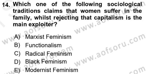 Introduction to Sociology Dersi 2018 - 2019 Yılı (Final) Dönem Sonu Sınav Soruları 14. Soru