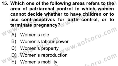 Introduction to Sociology Dersi 2018 - 2019 Yılı (Final) Dönem Sonu Sınavı 15. Soru