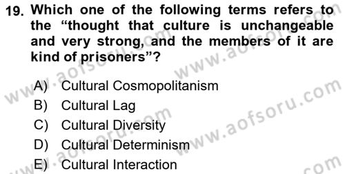Introduction to Sociology Dersi 2018 - 2019 Yılı (Final) Dönem Sonu Sınav Soruları 19. Soru