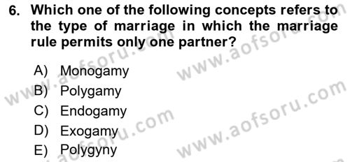 Introduction to Sociology Dersi 2018 - 2019 Yılı (Final) Dönem Sonu Sınav Soruları 6. Soru