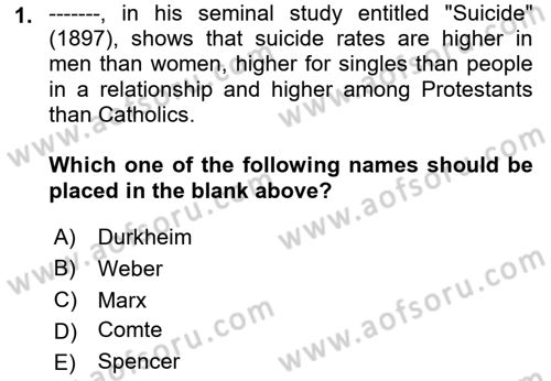 Introduction to Sociology Dersi 2018 - 2019 Yılı Yaz Okulu Sınav Soruları 1. Soru