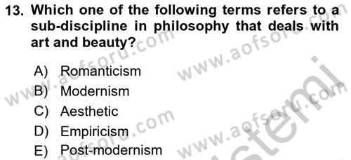 Introduction to Sociology Dersi 2018 - 2019 Yılı Yaz Okulu Sınav Soruları 13. Soru