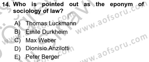 Introduction to Sociology Dersi 2018 - 2019 Yılı Yaz Okulu Sınav Soruları 14. Soru
