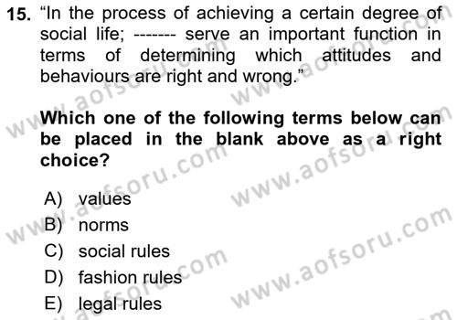 Introduction to Sociology Dersi 2018 - 2019 Yılı Yaz Okulu Sınav Soruları 15. Soru