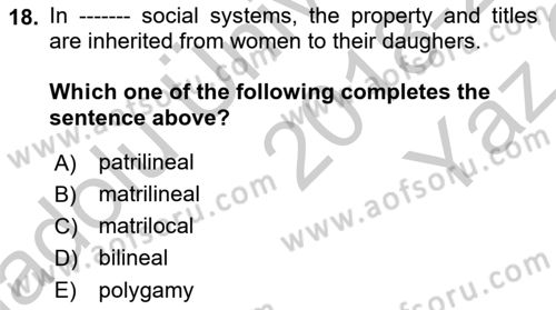 Introduction to Sociology Dersi 2018 - 2019 Yılı Yaz Okulu Sınav Soruları 18. Soru