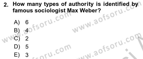 Introduction to Sociology Dersi 2018 - 2019 Yılı Yaz Okulu Sınav Soruları 2. Soru