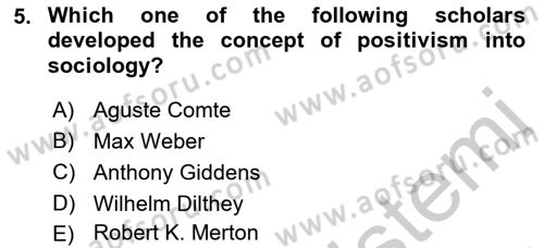 Introduction to Sociology Dersi 2018 - 2019 Yılı Yaz Okulu Sınav Soruları 5. Soru