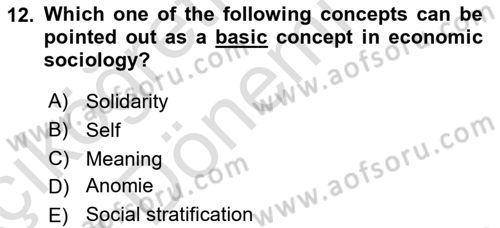 Introduction to Sociology Dersi 2019 - 2020 Yılı (Vize) Ara Sınav Soruları 12. Soru