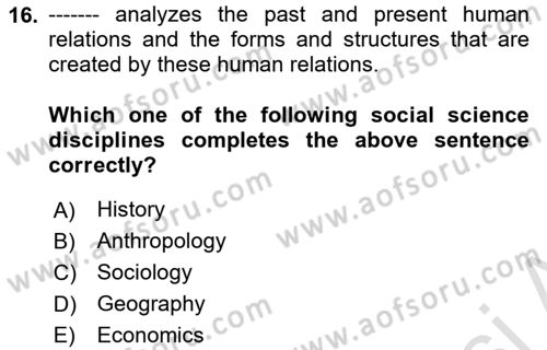 Introduction to Sociology Dersi 2019 - 2020 Yılı (Vize) Ara Sınav Soruları 16. Soru