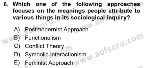 Introduction to Sociology Dersi 2019 - 2020 Yılı (Vize) Ara Sınav Soruları 6. Soru