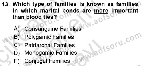 Introduction to Sociology Dersi 2019 - 2020 Yılı (Final) Dönem Sonu Sınavı 13. Soru