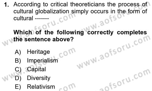Introduction to Sociology Dersi 2020 - 2021 Yılı Yaz Okulu Sınav Soruları 1. Soru