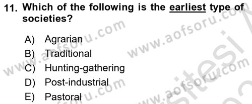 Introduction to Sociology Dersi 2020 - 2021 Yılı Yaz Okulu Sınav Soruları 11. Soru