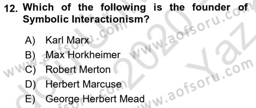 Introduction to Sociology Dersi 2020 - 2021 Yılı Yaz Okulu Sınav Soruları 12. Soru