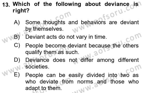 Introduction to Sociology Dersi 2020 - 2021 Yılı Yaz Okulu Sınav Soruları 13. Soru