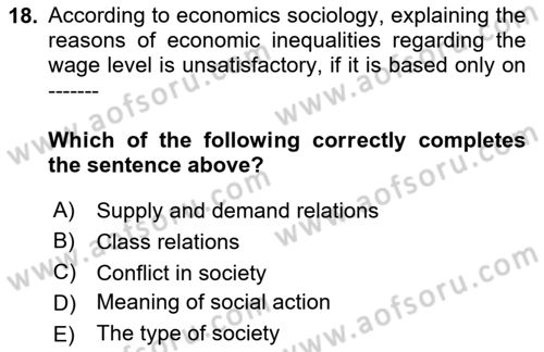 Introduction to Sociology Dersi 2020 - 2021 Yılı Yaz Okulu Sınav Soruları 18. Soru