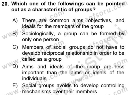 Introduction to Sociology Dersi 2020 - 2021 Yılı Yaz Okulu Sınav Soruları 20. Soru