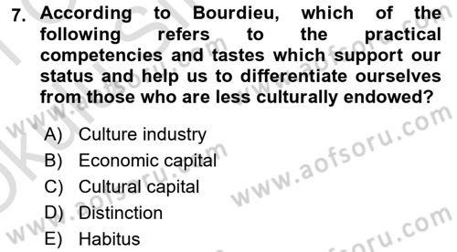 Introduction to Sociology Dersi 2020 - 2021 Yılı Yaz Okulu Sınav Soruları 7. Soru