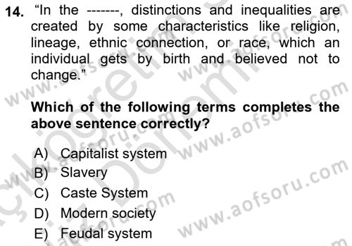 Introduction to Sociology Dersi 2021 - 2022 Yılı (Vize) Ara Sınav Soruları 14. Soru