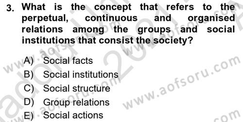 Introduction to Sociology Dersi 2021 - 2022 Yılı (Vize) Ara Sınav Soruları 3. Soru