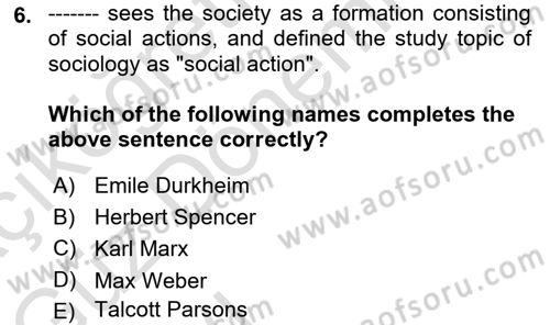 Introduction to Sociology Dersi 2021 - 2022 Yılı (Vize) Ara Sınav Soruları 6. Soru